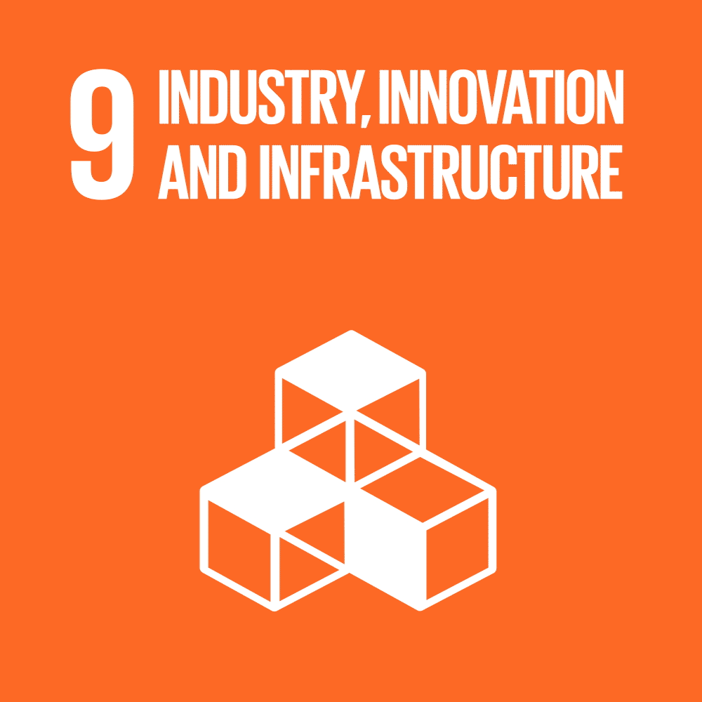 Goal 9 Imprese, innovazione e infrastrutture