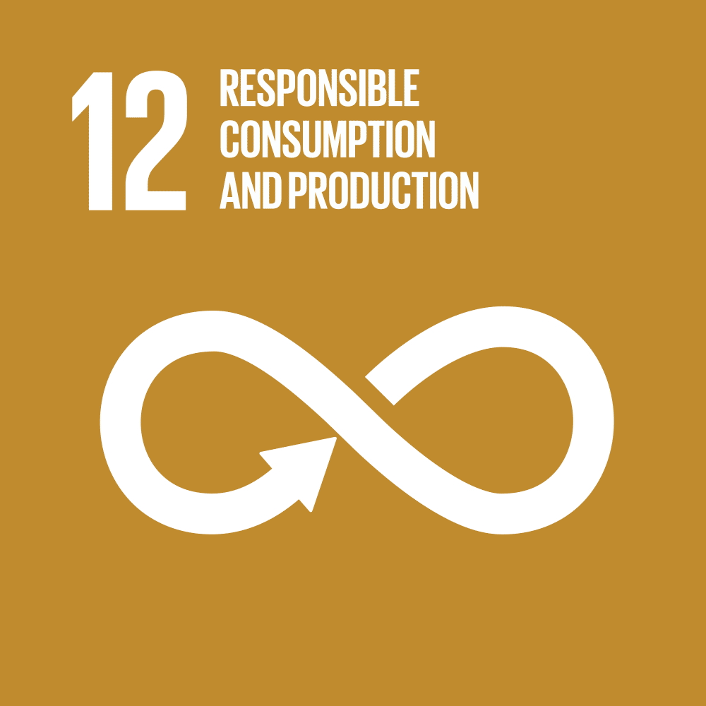 Goal 12 Consumo e produzione responsabili