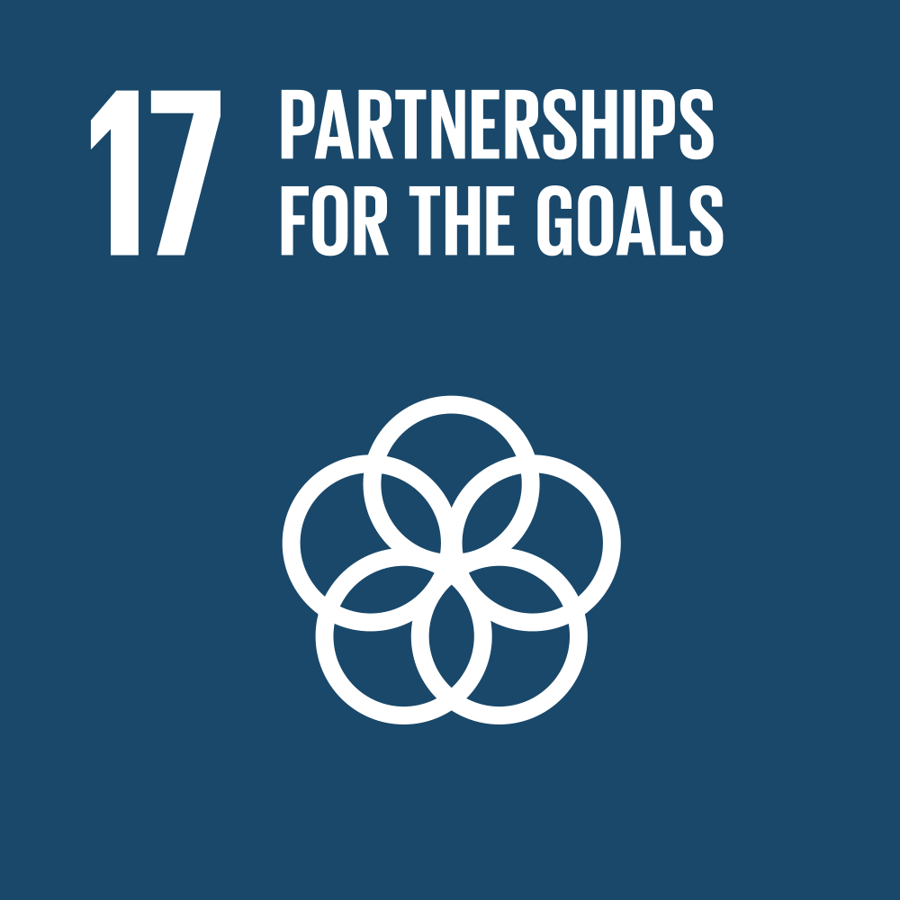 Goal 17 Partnership per gli obiettivi
